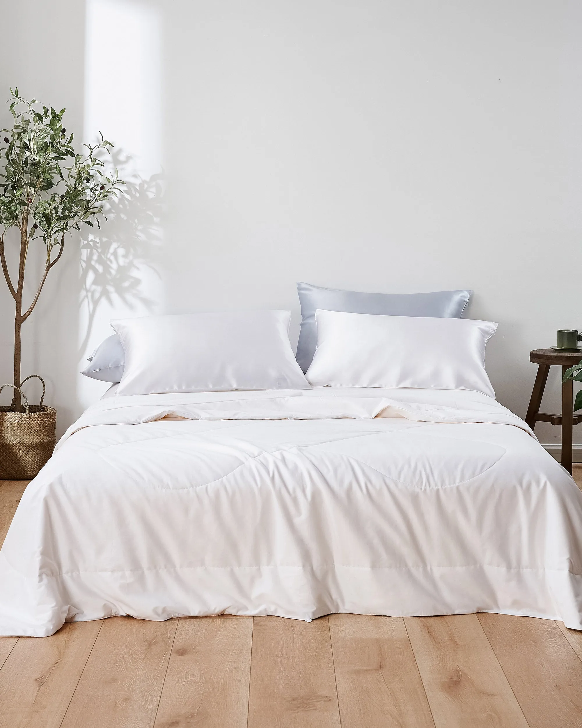 All Season Silk Comforter And Washable Silk Pillow Set