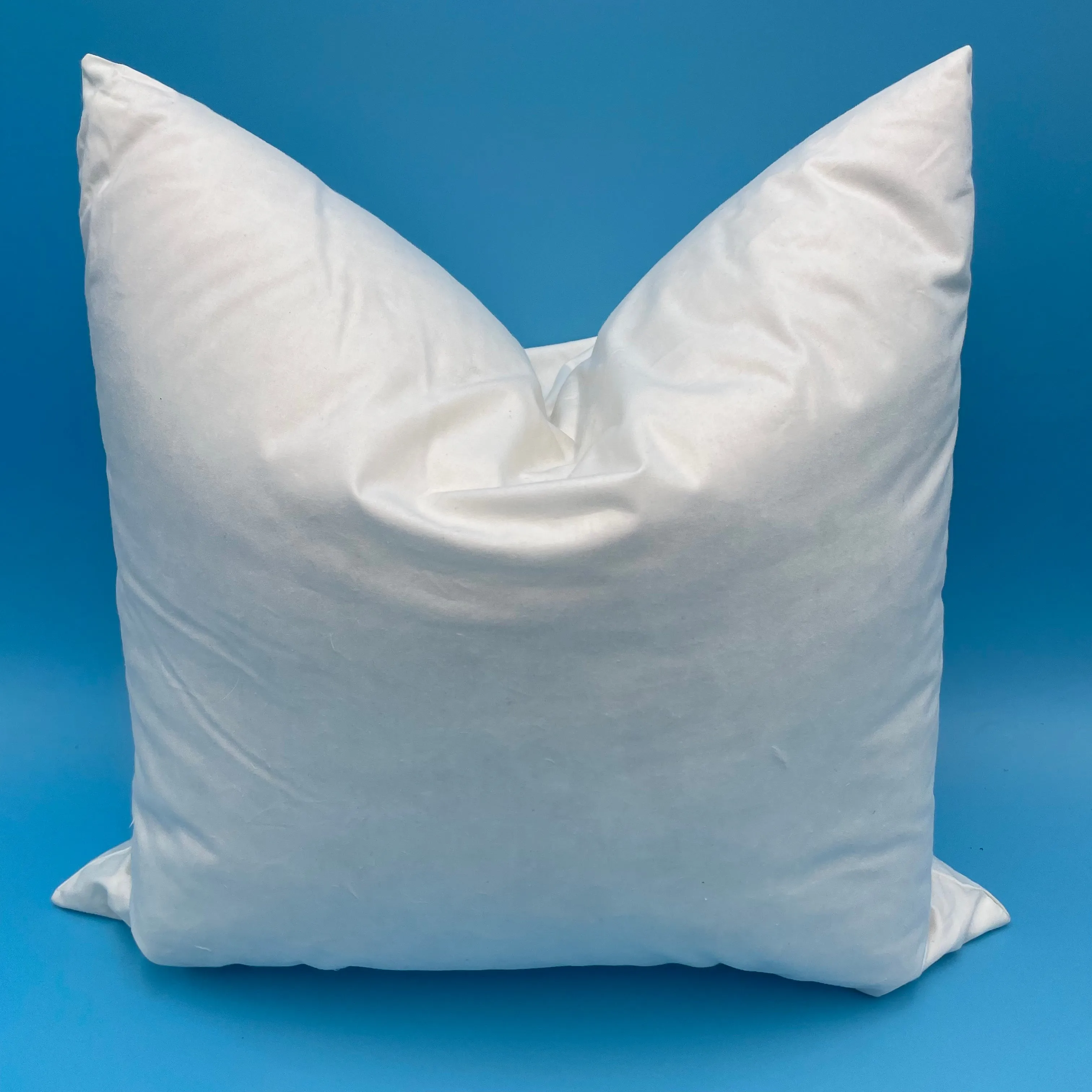 Designer 25% Goose Down 75% White Feather Pillow Insert