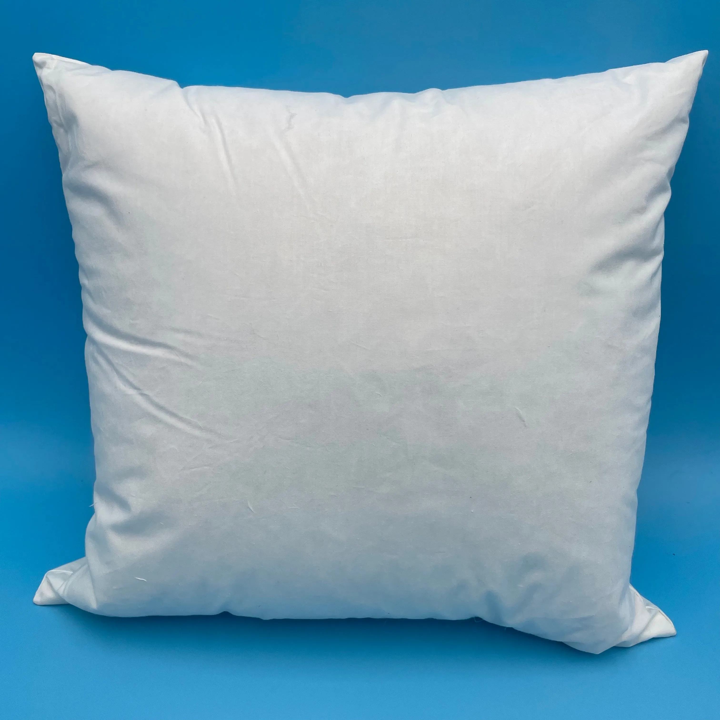 Designer 25% Goose Down 75% White Feather Pillow Insert