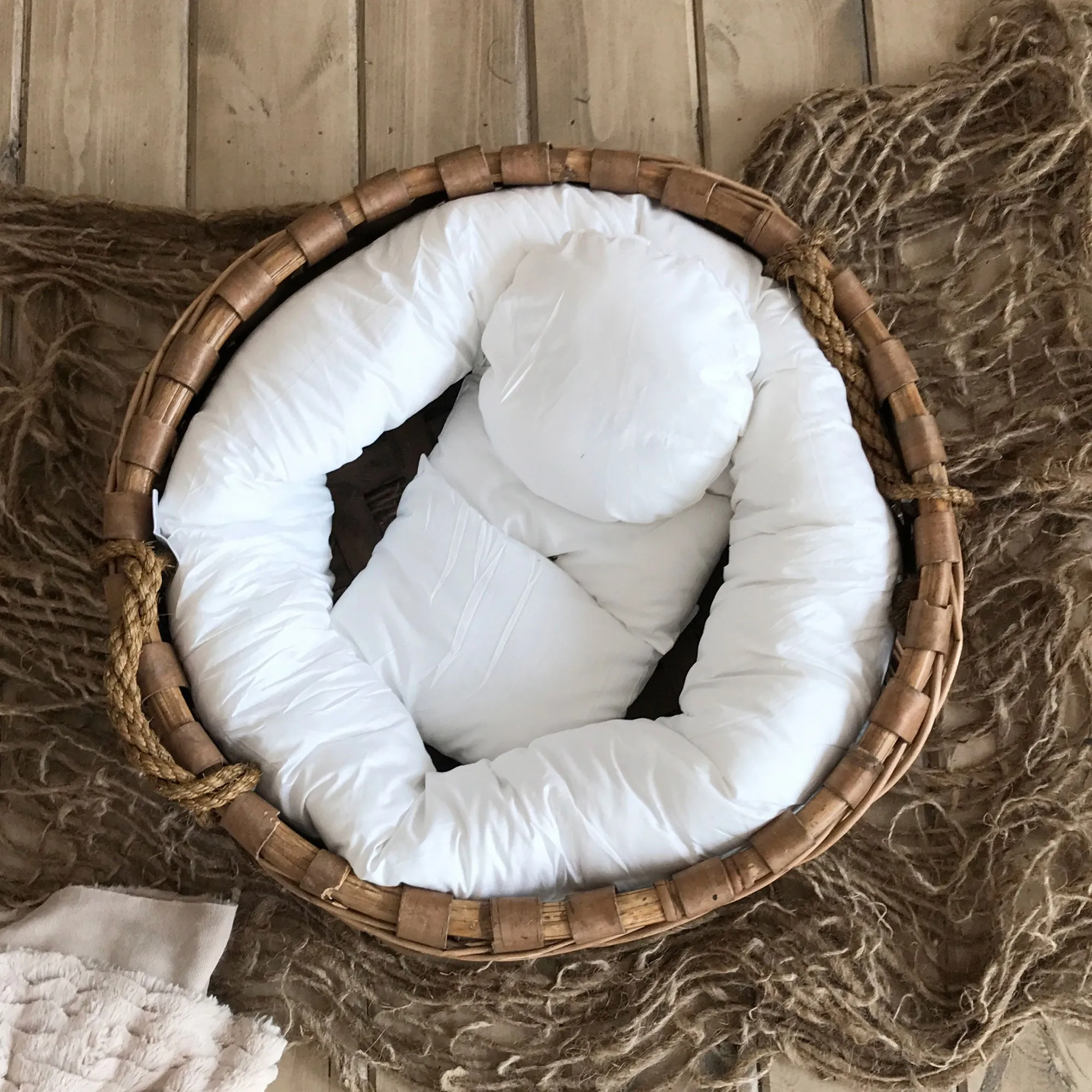 Donut Posing Pillow Set