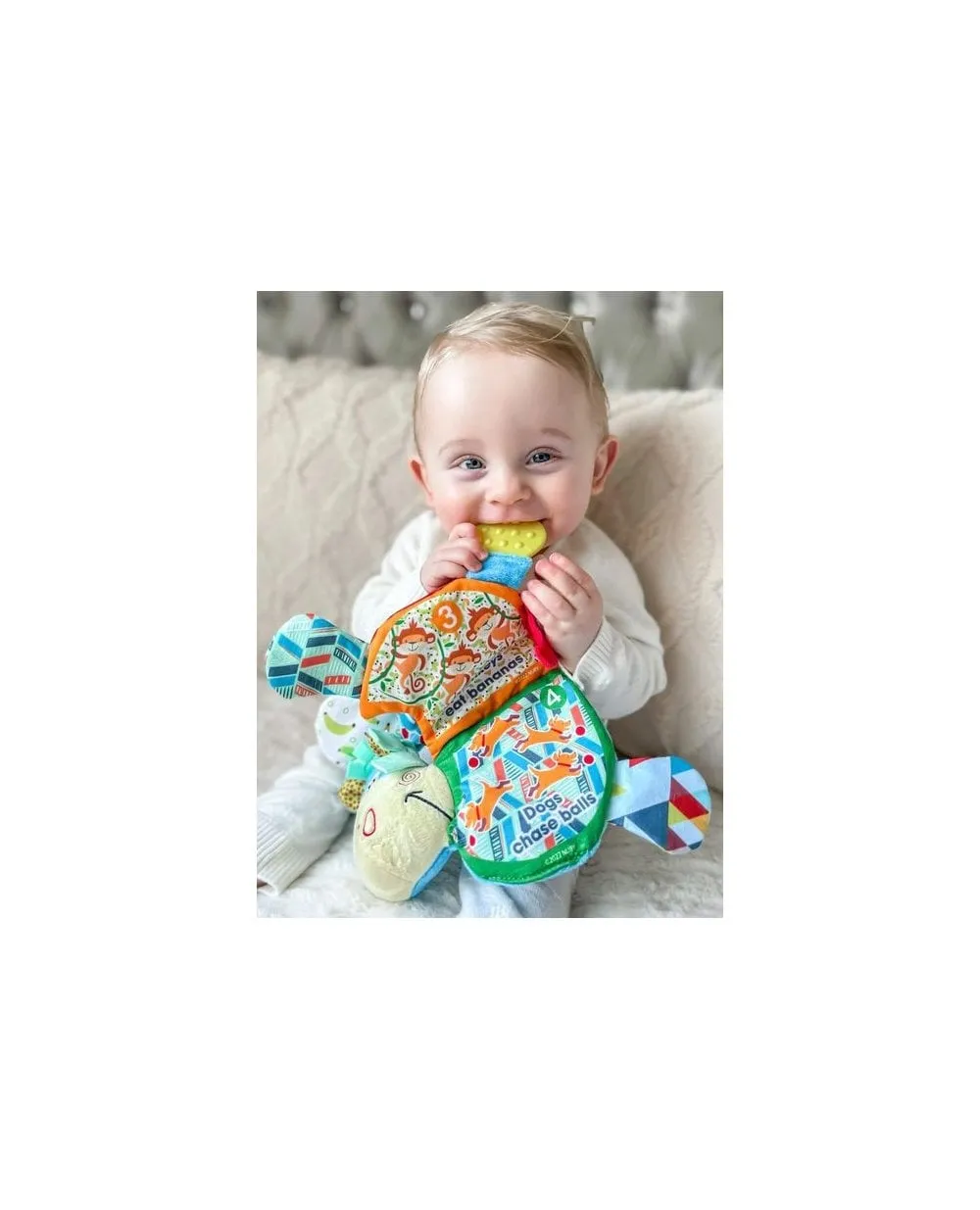 Nuby Flip Flop Teether Book