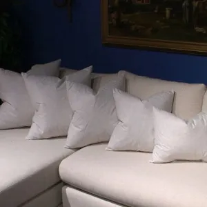 Throw Pillow Fill